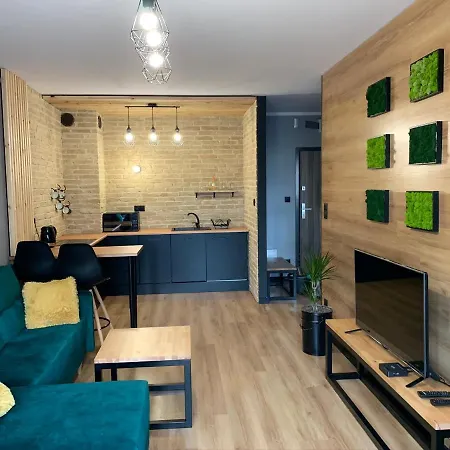 Tarnovia Loft Apartment Tarnowo Podgórne Exterior foto