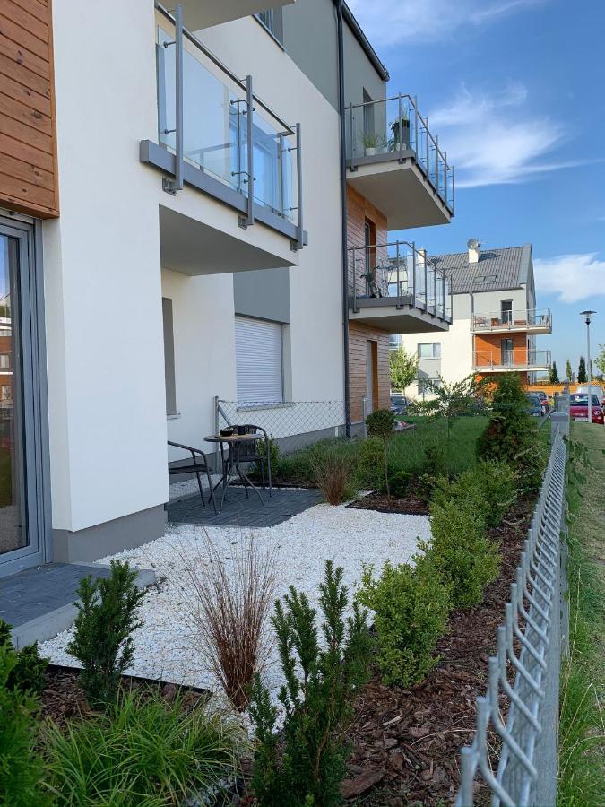 Apartment Tarnovia Loft